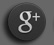 Google+