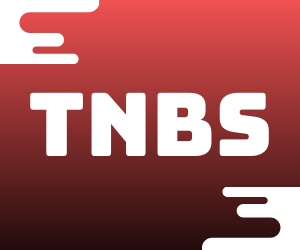 topnewbingosites.co.uk