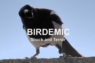 Birdemic: Shock and Terror (2010)