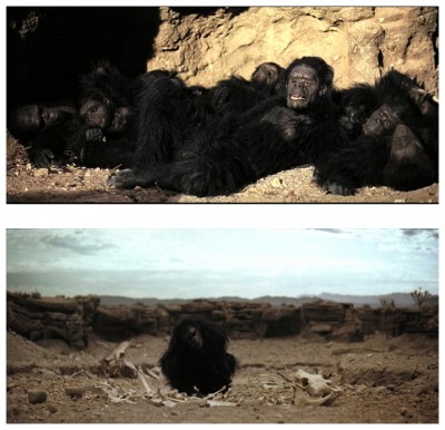 2001 a space odyssey apes