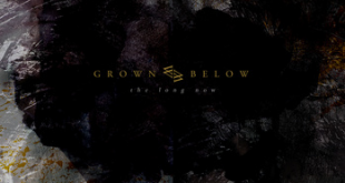 Album cover: Grown Below - The Long Now