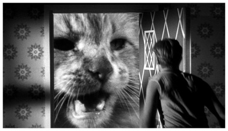 Incredible Shrinking Man photo 6