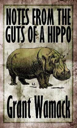 notes-from-the-guts-of-a-hippo