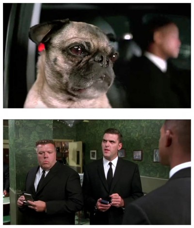 MIB II photo 12