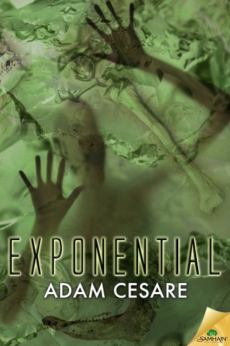 Exponential-book