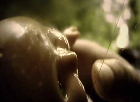 Film Review: Debris Documentar (2003) | HNN Film Review: Debris Documentar (2003) | HNN