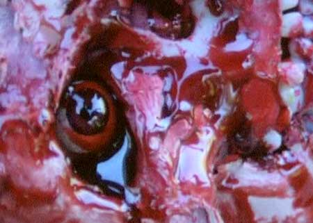 Long-Island-Cannibal-Massacre-1980-movie-Nathan-Schiff-(7)