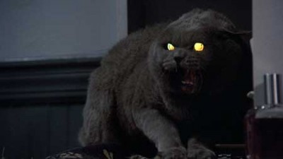 Top 10 Animals in Horror Films | HNN