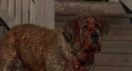 bloody_cujo-movie