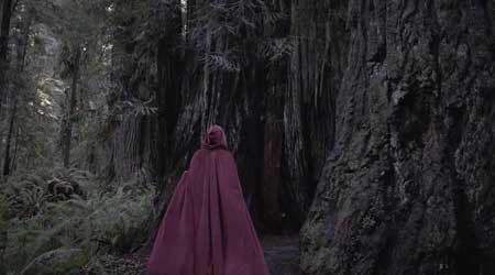 Film Review Little Red Riding Hood 2015 Hnn