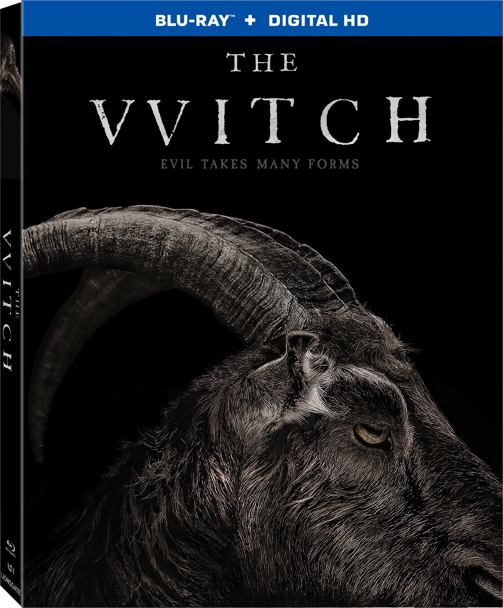 movie review the witch 2015