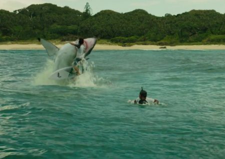 The Shallows (2016) Movie - Jaume Collet-Serra Image 2