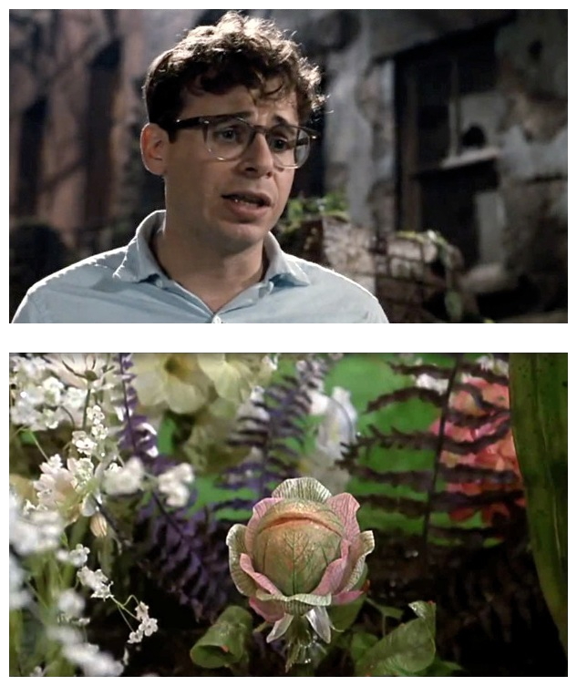 seymour little shop of horrors