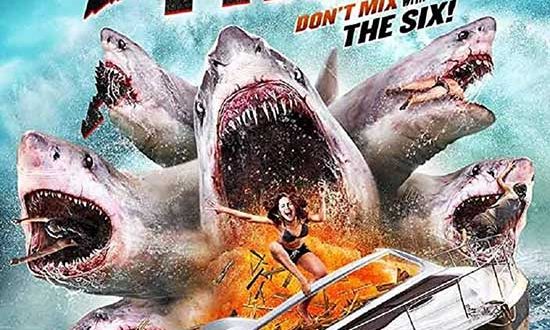 Review: Shark Attack!