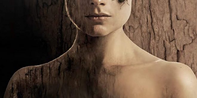 HNN Presents: The Wicked Woods, Now Available on DVD and VOD from Bayview Entertainment