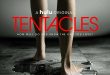 Blumhouse Debuts New Trailer for February Installment INTO THE DARK: TENTACLES