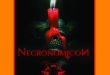 Necronomicon, Hollyweird, Baba Yaga, & MM & Pooh Available on DVD at Movie Zyng Warehouse