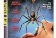 Spider Baby (2024) now available from Scream Team Releasing