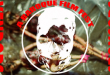 A BAROQUE FILM FEST is officially in motion!