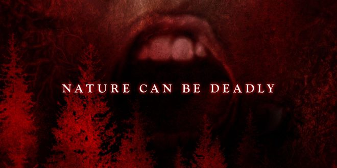 For Immediate Release – “THE WOODS”