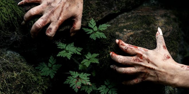 How Horror Films Heighten the Senses: Why Fear Feels So Real On Screen