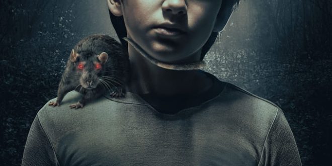 Quiver presents, THE CONFESSION | Out Jan 16th