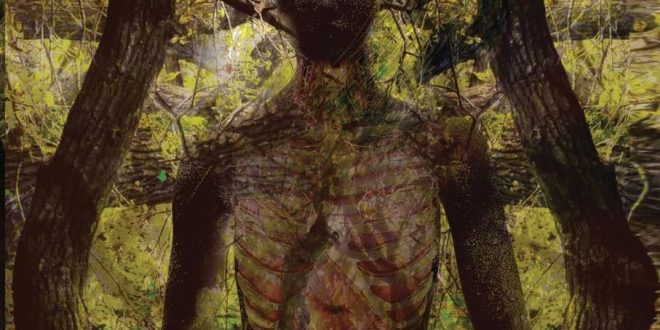 Book Review: Enigmata: The Watcher From Within | Author S. Alessandro Martinezxv