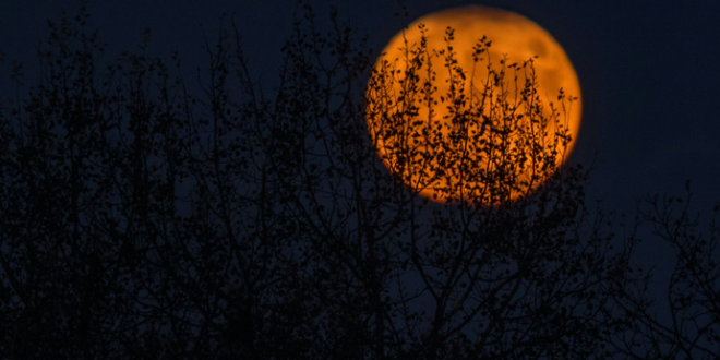 Halloween Is Three Weeks Away and Horror Is Having Its Best Year at the Box Office: Here’s What HNN Readers Are Playing Online